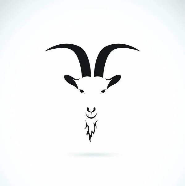 Vector Image Goat Head White Background — Stock Vector