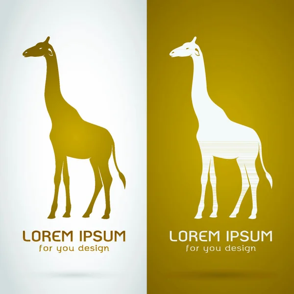 Beyaz Arkaplan Kahverengimsi Arkaplan Logo Sembol Üzerine Bir Zürafa Tasarımının — Stok Vektör