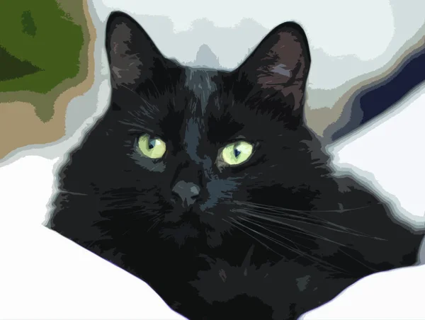 Guapo Pelo Largo Negro Coño Gato — Vector de stock