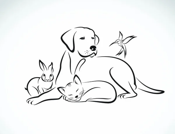 Διάνυσμα Ομάδα Κατοικίδιων Ζώων Σκύλος Γάτα Πουλί Κουνέλι Απομονώνονται Λευκό — Διανυσματικό Αρχείο