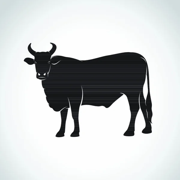 Imagen Vectorial Una Vaca Sobre Fondo Blanco — Vector de stock