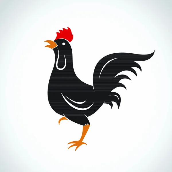 Wektorowy Wizerunek Konstrukcji Kurczaka Białym Tle — Wektor stockowy