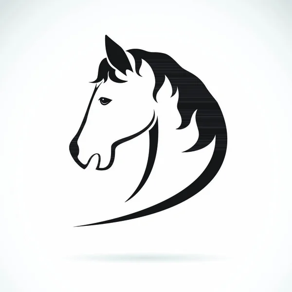 Imagem Vetorial Projeto Cabeça Cavalo Fundo Branco —  Vetores de Stock