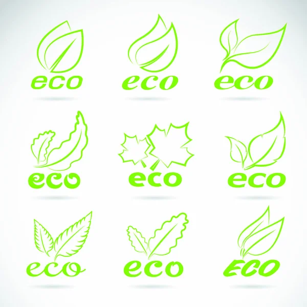 Groene Bladeren Ontwerp Ecologie Icoon Set Groene Eco Iconen Badge — Stockvector