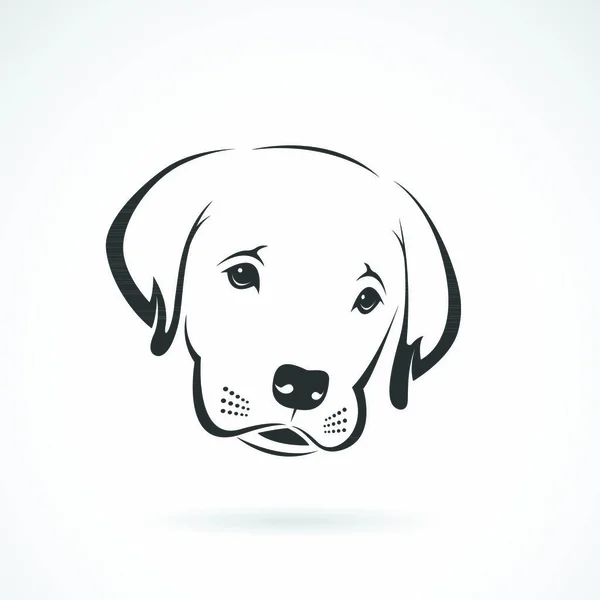 Imagen Vectorial Una Cara Cachorro Labrador Sobre Fondo Blanco Perro — Vector de stock