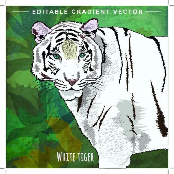 Wilde Katten Habitat Witte Tijger — Stockvector