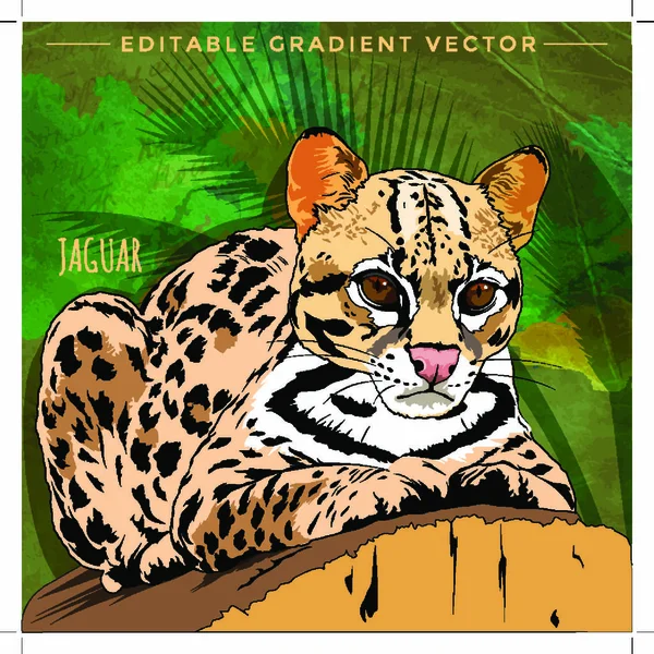 Gatos Salvajes Hábitat Jaguar Emboscada — Vector de stock
