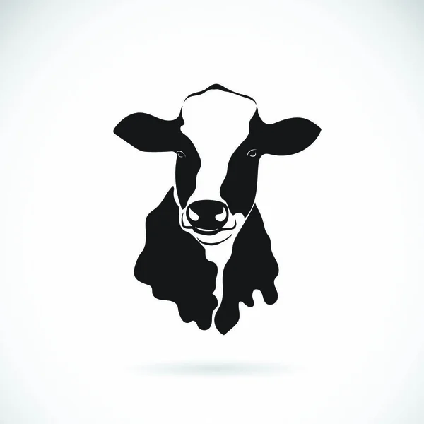 Vektorbild Einer Kuh Auf Weißem Hintergrund — Stockvektor