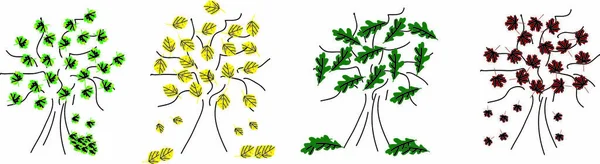 Diverse Bomen Met Verschillende Kleuren Gebladerte — Stockvector