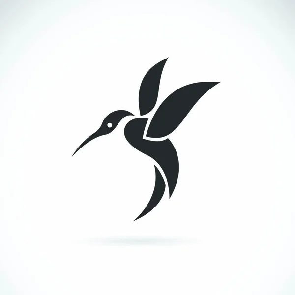 Vector Image Hummingbird Design White Background — Stock Vector