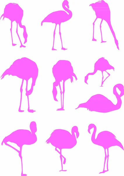 Vogels Op Een Wandelingストックベクター ロイヤリティフリーvogels Op Een Wandelingイラスト Depositphotos Vogels Op Een Wandelingストックベクター ロイヤリティフリーvogels Op Een Wandelingイラスト Depositphotos