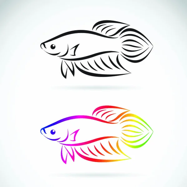 배경에 싸우는 물고기 디자인의 이미지인 Animal Logo 입니다 — 스톡 벡터