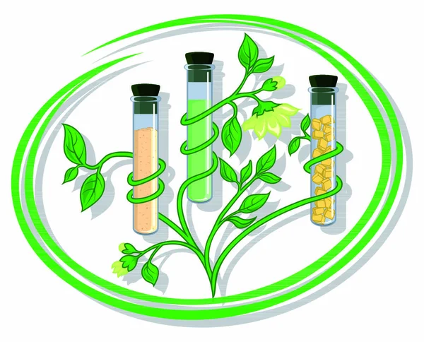Conceptual Illustration Depicting Test Tube Natural Ingredients Extract Floral Wax — Stock Vector