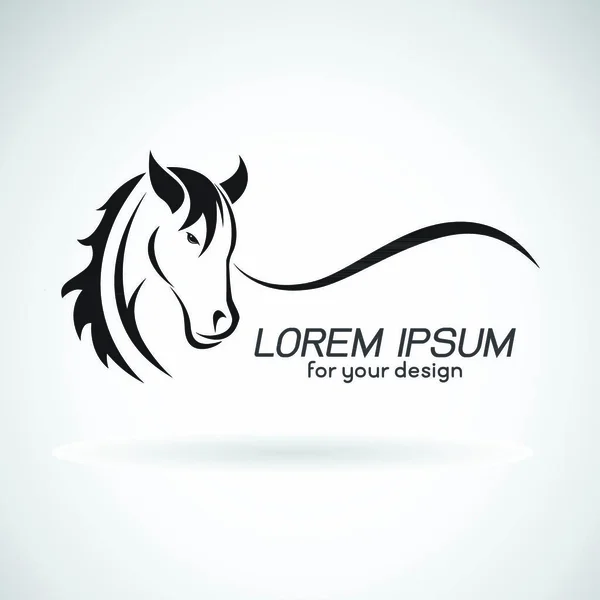 Vektorbild Eines Pferdekopfdesigns Auf Weißem Hintergrund Pferd Logo Wilde Tiere — Stockvektor