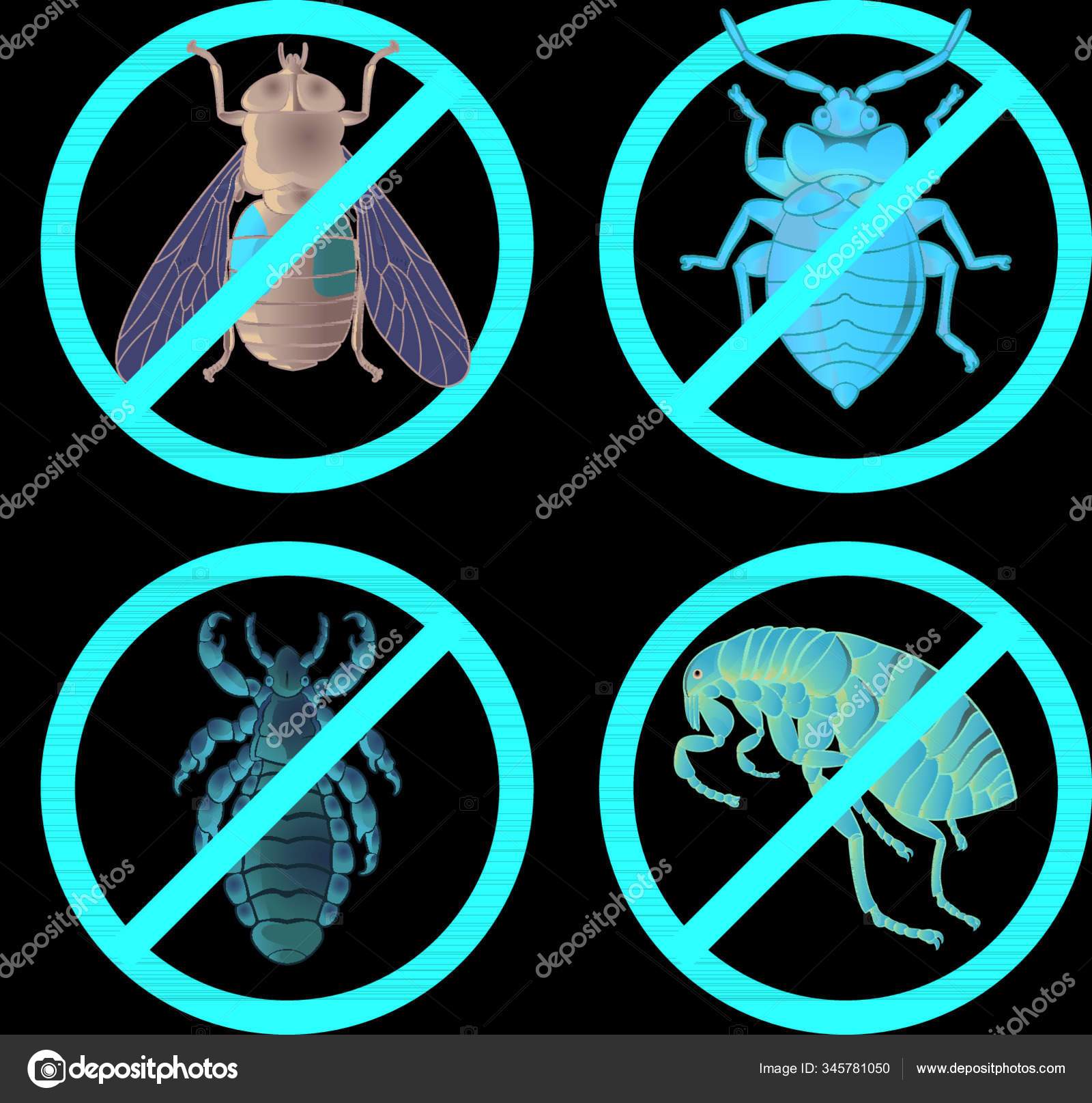 Vector Image Set Disable Signs Pest Insects Stock Vector by ©YAYImages ...