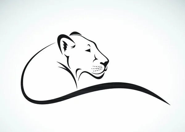 Vecteur Lion Femelle Dessin Sur Fond Blanc Animaux Sauvages — Image vectorielle