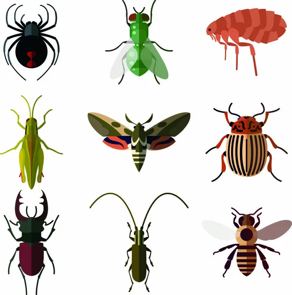 Vector Afbeelding Van Set Van Insecten Platte Pictogrammen — Stockvector