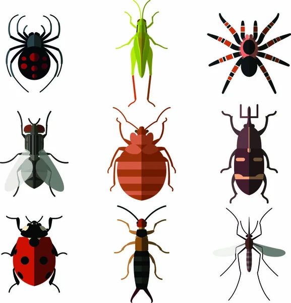 Vector Afbeelding Van Set Van Insecten Platte Pictogrammen — Stockvector