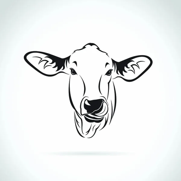 Vektor Eines Kuhkopfes Auf Weißem Hintergrund Kalb — Stockvektor