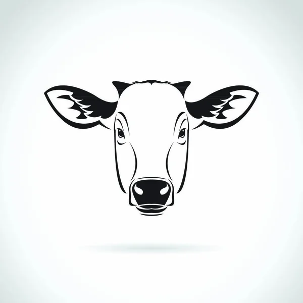 Vektor Eines Kuhkopfes Auf Weißem Hintergrund Nutztiere — Stockvektor
