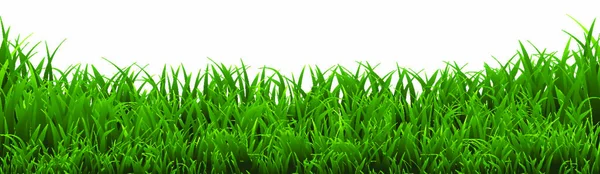 Gräsgräns Vektorillustration — Stock vektor
