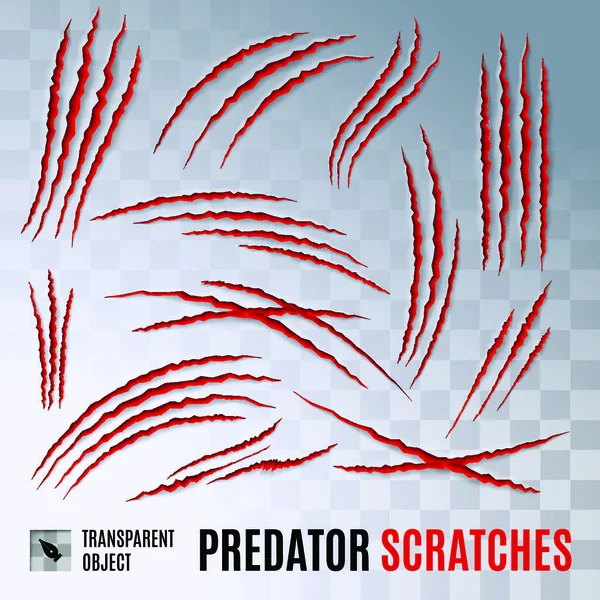 Predators Claws Rasguños Sobre Fondo Transparente Garra Arañazo Animal Ilustración — Vector de stock