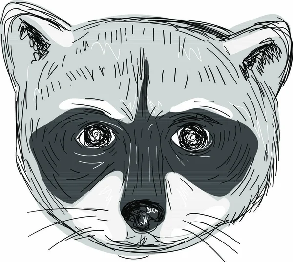Ілюстрація Виду Raccoon Head Front Виконаного Стилі Малювання Вручну — стоковий вектор