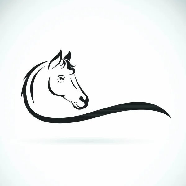 Vetor Uma Cabeça Cavalo Fundo Branco Animais Selvagens —  Vetores de Stock