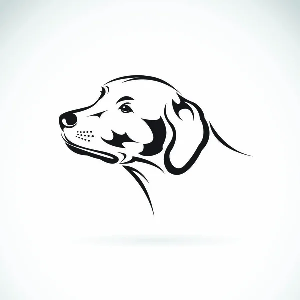 Vetor Uma Cabeça Cão Labrador Retriever Fundo Branco Pet Animais —  Vetores de Stock