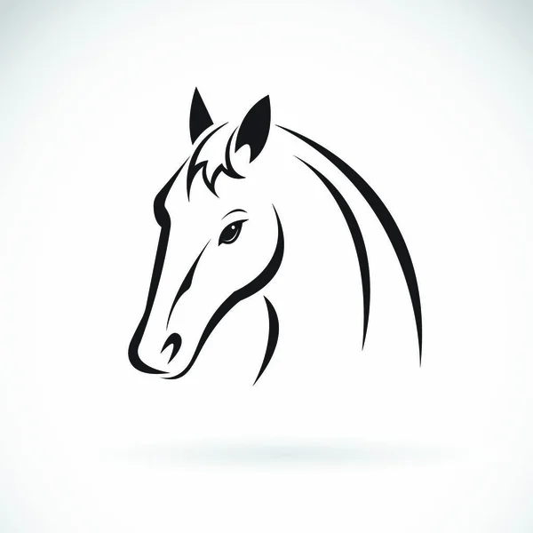 Vetor Uma Cabeça Cavalo Fundo Branco Animais Selvagens —  Vetores de Stock