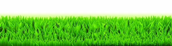 Grass Frame Gradient Mesh Vector Illusztráció — Stock Vector