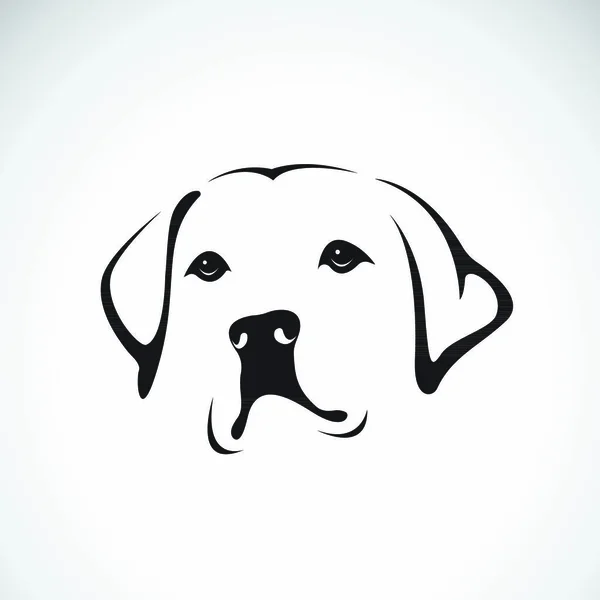 Vector Una Cabeza Perro Labrador Retriever Sobre Fondo Blanco Pet — Archivo Imágenes Vectoriales