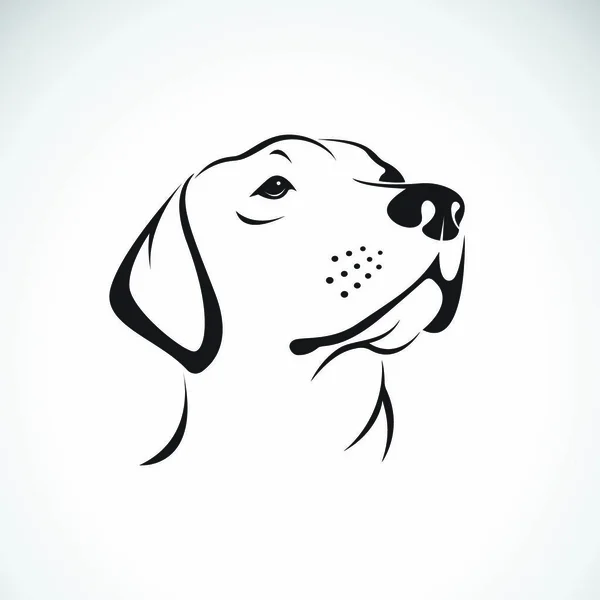 Vektor Hund Huvud Labrador Retriever Vit Bakgrund Pet Djur — Stock vektor