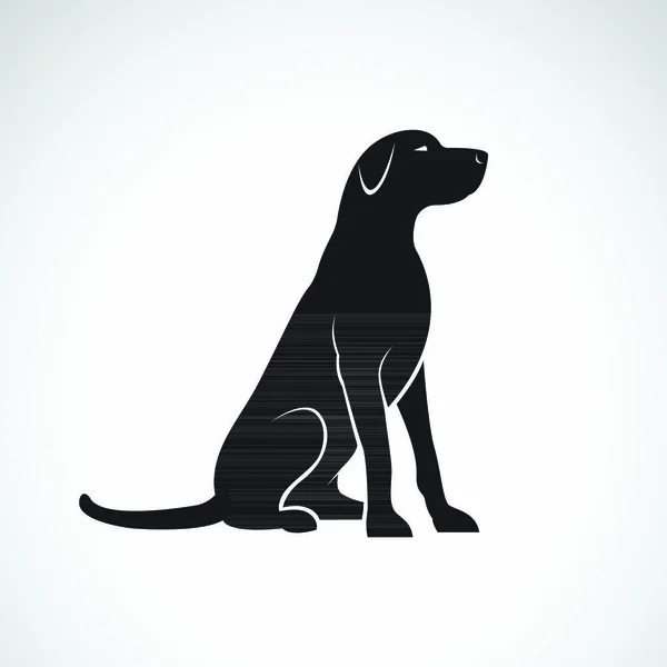 Διάνυσμα Ενός Σκύλου Λαμπραντόρ Ριτρίβερ Απομονωμένο Λευκό Φόντο Κατοικίδιο Ζώα — Διανυσματικό Αρχείο