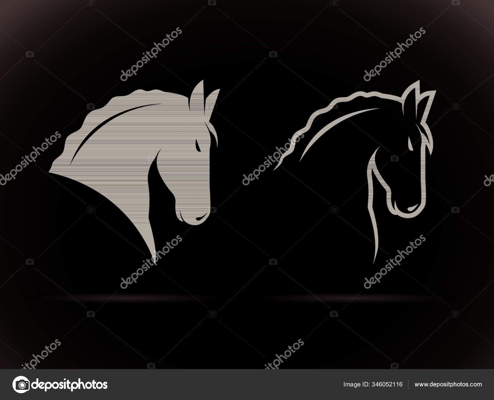 Vector of a horse head on white background. Wild Animal