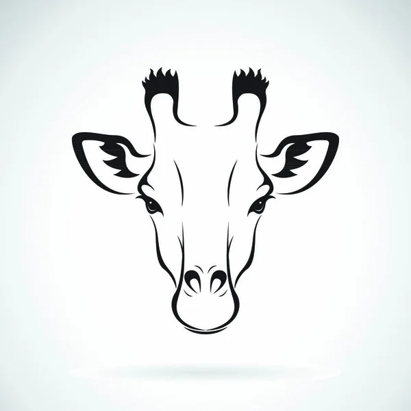 Vektor Eines Giraffenkopfdesigns Auf Weißem Hintergrund Wilde Tiere Vektorillustration — Stockvektor