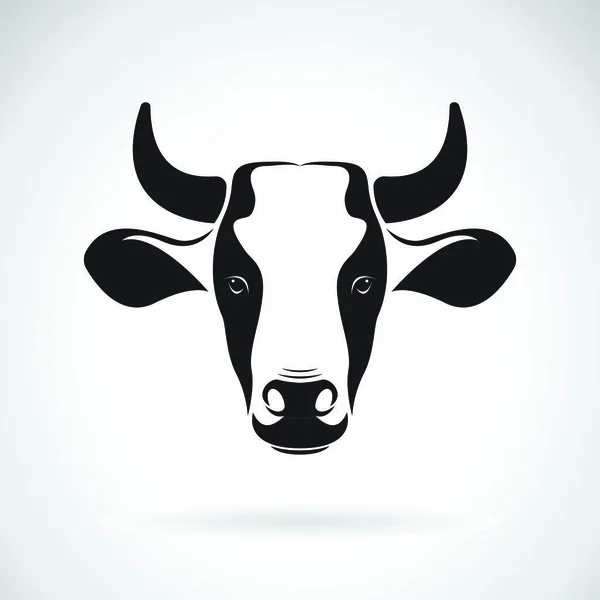 Vetor Desenho Cabeça Vaca Fundo Branco Animais Selvagens Ilustração Vetorial —  Vetores de Stock