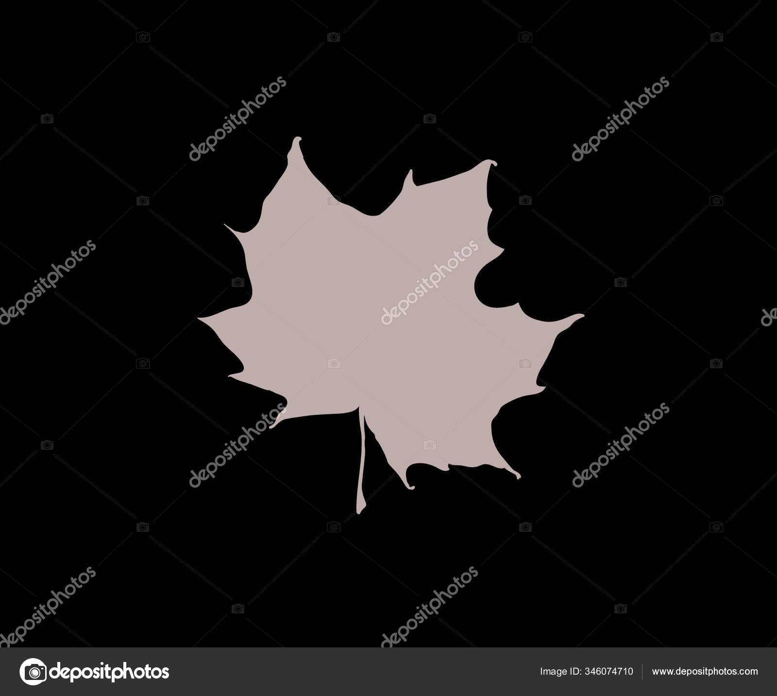vintage simple maple leaf logo symbol vector icon illustration