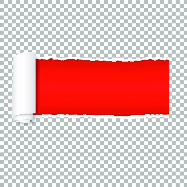 Torn Red Paper Transparent Background Gradient Mesh Vector Illustration — Stock Vector