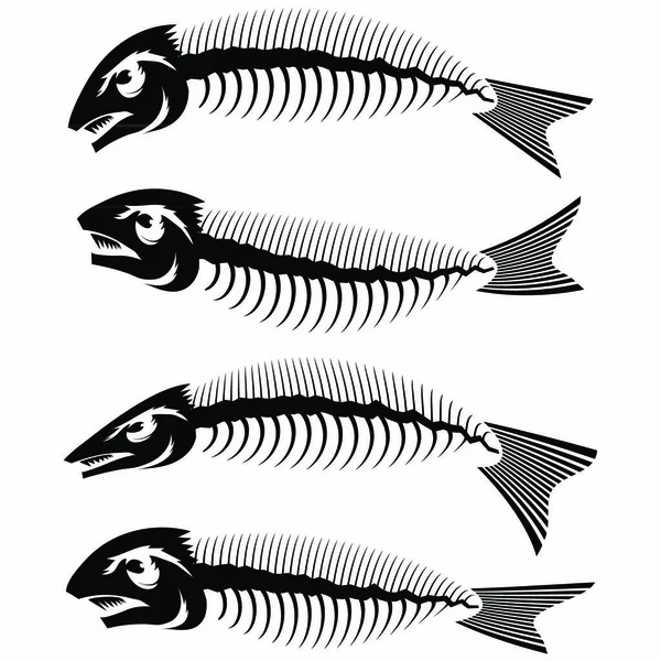 Fin Spineストックベクター ロイヤリティフリーfin Spineイラスト ページ 2 Depositphotos