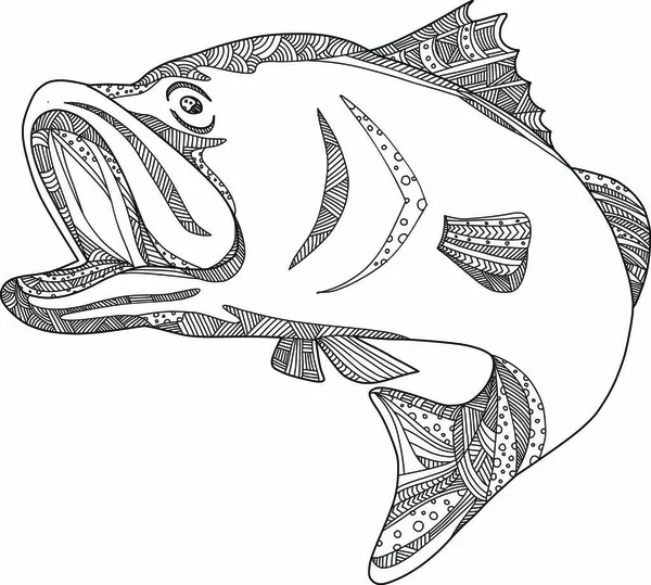 Doodle Art Illustration Barramundi Або Asian Sea Bass Lates Calcarifer — стоковий вектор