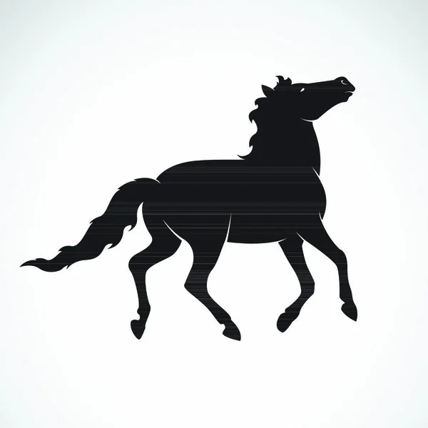 Vetor Cavalo Isolado Sobre Fundo Branco Animais Selvagens Ilustração Vetorial —  Vetores de Stock