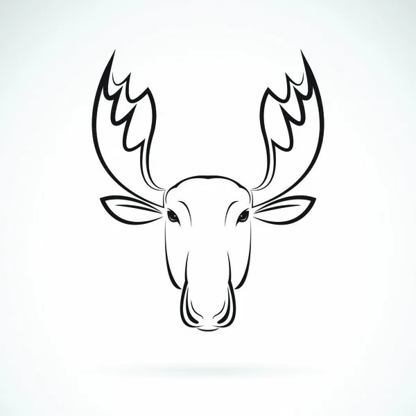 Vetor Design Cabeça Veado Alce Fundo Branco Animais Selvagens Ilustração —  Vetores de Stock