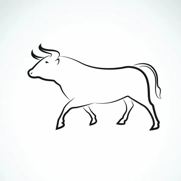 Vetor Design Touro Fundo Branco Animais Selvagens Ilustração Vetorial Ilustração —  Vetores de Stock
