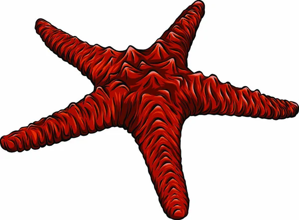 Estrella Mar Estilo Plano Icono Marino Estilo Dibujos Animados Ilustración — Vector de stock