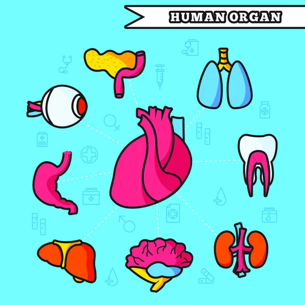 Linhas Finas Estilo Órgãos Humanos Conjunto Ícones Conceito Desenho Ilustração — Vetor de Stock