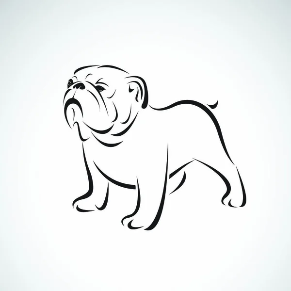 Διάνυσμα Του Σχεδιασμού Μπουλντόγκ Λευκό Φόντο Κατοικίδιο Ζώα Λογότυπο Εικονίδιο — Διανυσματικό Αρχείο