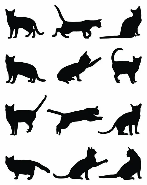 Zwarte Silhouetten Van Katten Een Witte Achtergrond — Stockvector
