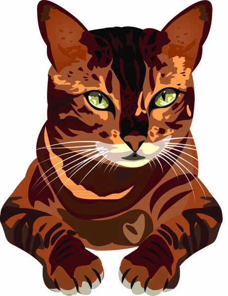 Ilustración Del Vector Gato Sobre Fondo Blanco Aislado — Vector de stock