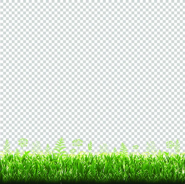 Рамка Зеленої Трави Прозорий Фон Векторні Ілюстрації — стоковий вектор